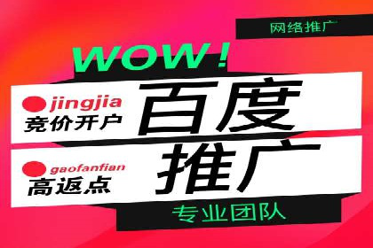 百度推广代运营案例：案例解析：精准定位用户需求